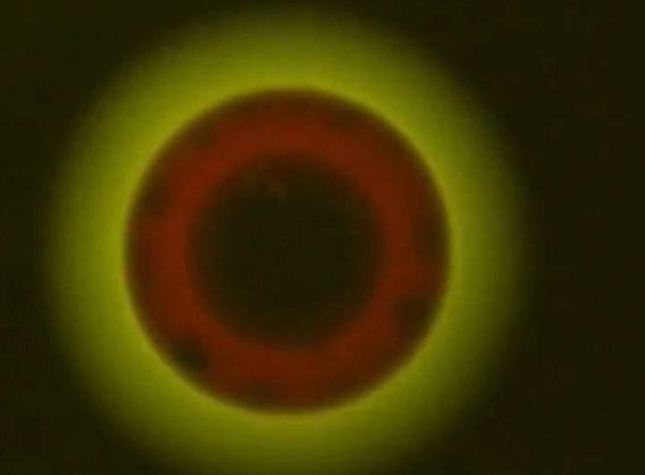 Scientists discover three liquid phases in aerosol particles