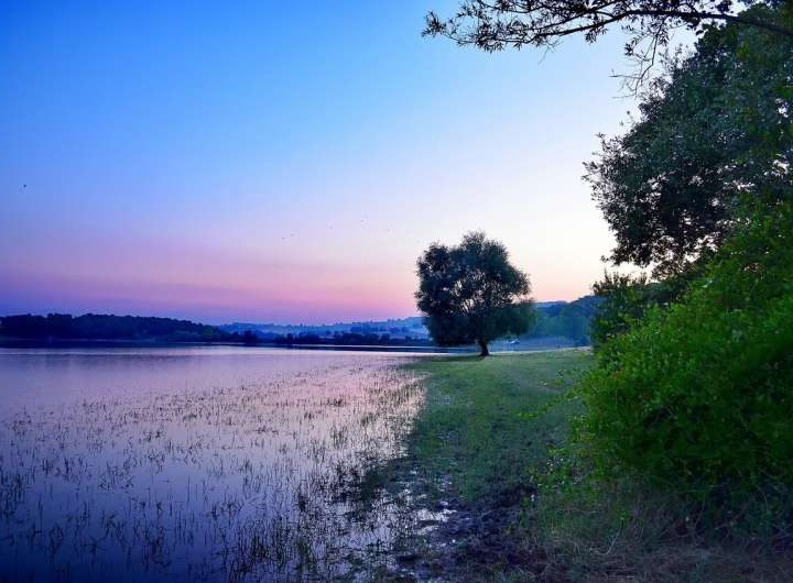 New machine learning methods could improve environmental predictions