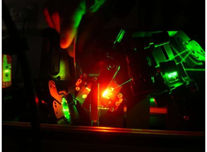 Researchers are first in the world to watch plants ‘drink’ water in real-time