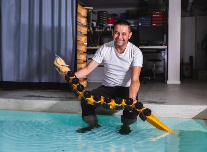 Swimming robot gives fresh insight into locomotion and neuroscience