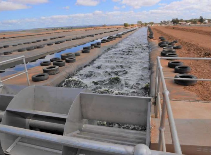 Adding value to recycled wastewater