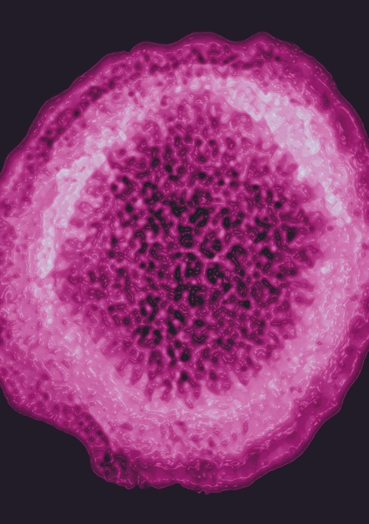 Scientists Win Nobel Prize for Discovering the Hepatitis C Virus