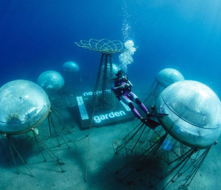 Siemens twins for underwater farming revolution