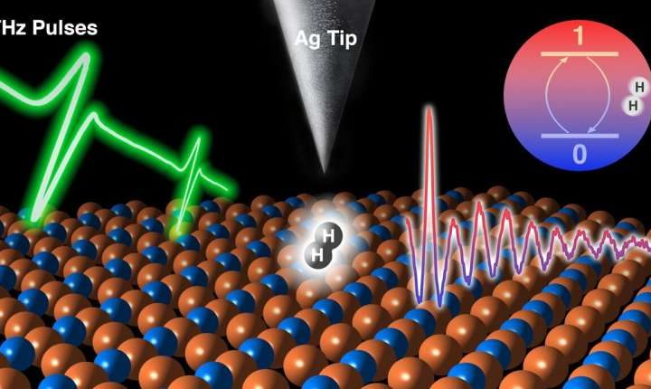 Scientists turn a hydrogen molecule into a quantum sensor