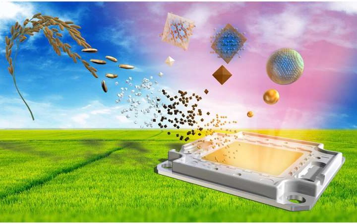 World’s first LED lights developed from rice husks