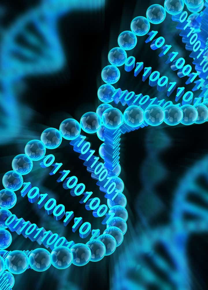 Quantum effects help make DNA unstable