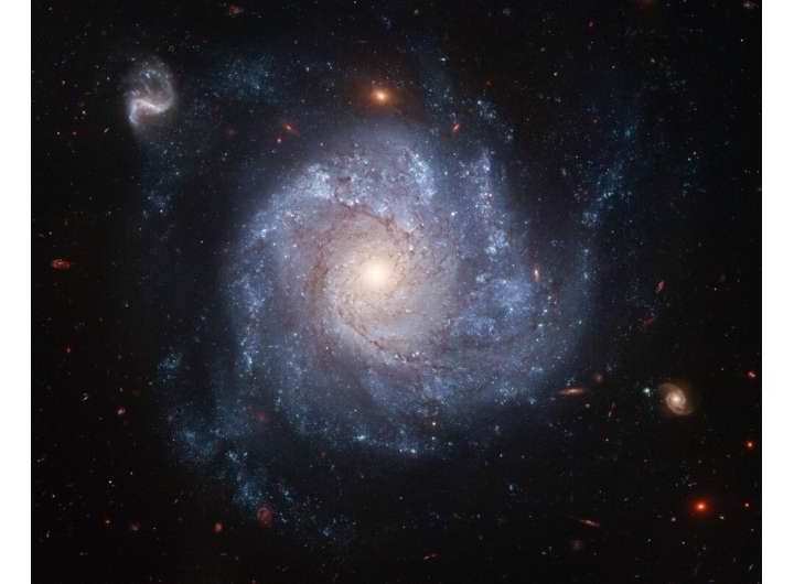 The star that survived a supernova