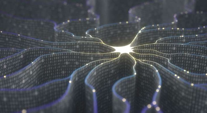 Neuroscientist explains differences between AI and human learning