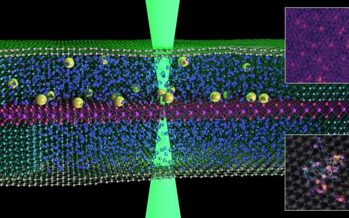 Graphene scientists capture first images of atoms ‘swimming’ in liquid