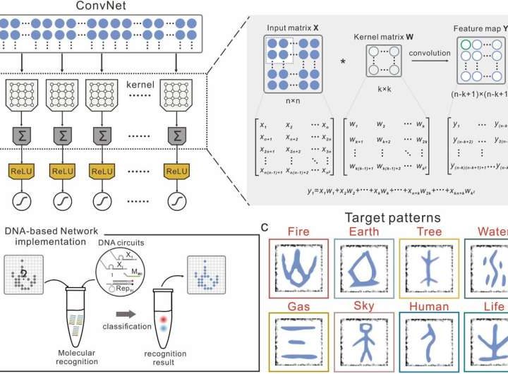 The molecular implementation of a DNA-based artificial neural network