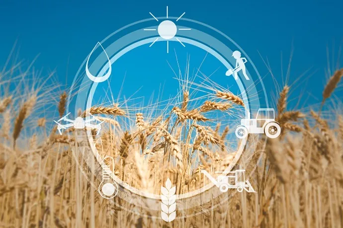 Technology Feeds Sustainable Agriculture