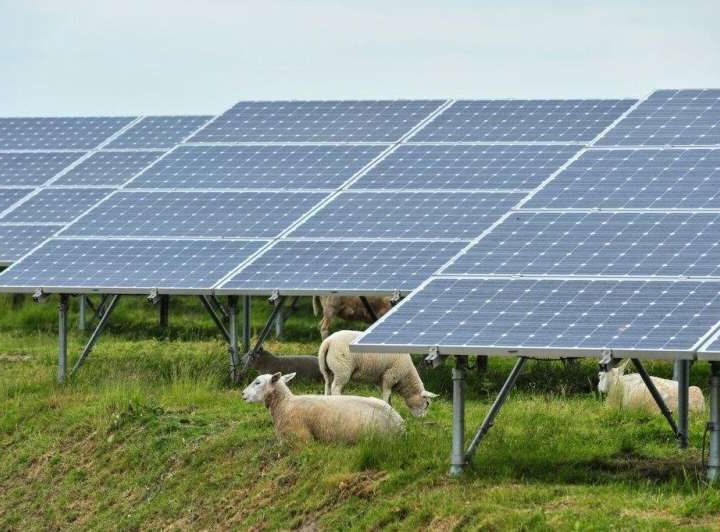 Emerging technology allows solar panels and agriculture to coexist, but legal hurdles remain