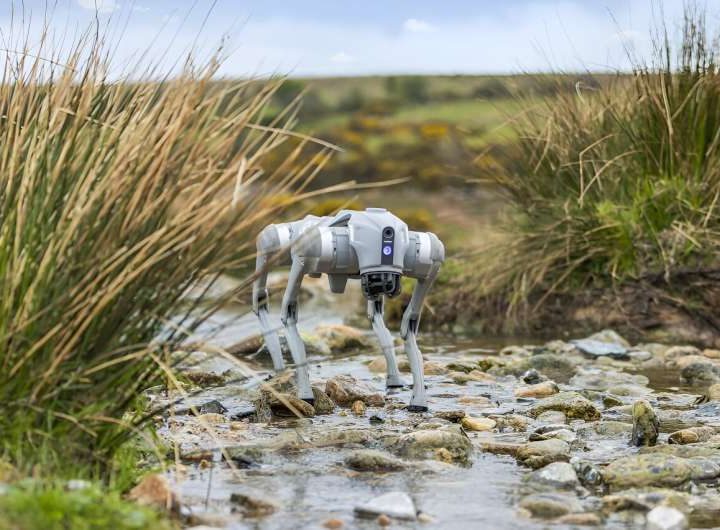 From robots and drones to sheep trackers, new tech can help farmers monitor and improve soil health