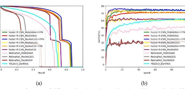 Deep learning model enhances maize phenotype detection and crop management