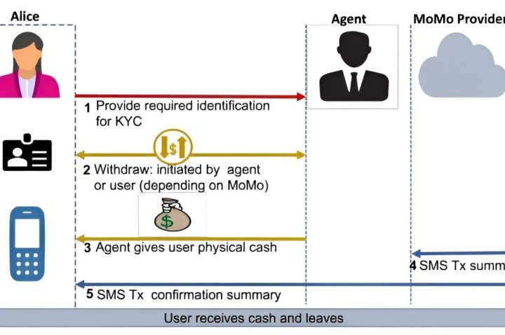 Navigating digital financial inclusion in Africa