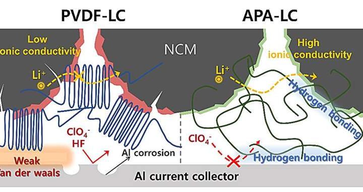 Fluoride-free batteries: Safeguarding the environment and enhancing performance