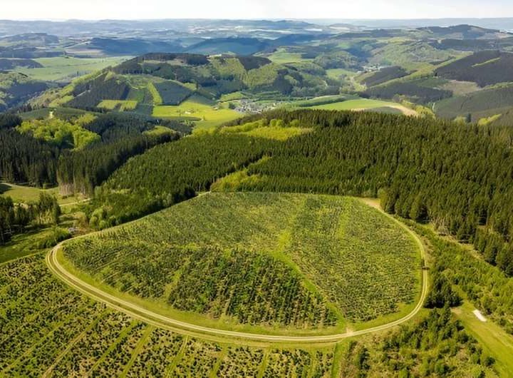 Extensive afforestation and reforestation can brake global warming