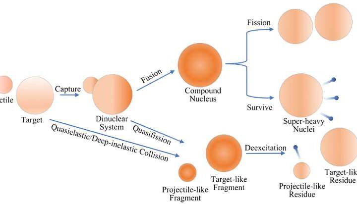 New insights into exotic nuclei creation using Langevin equation model