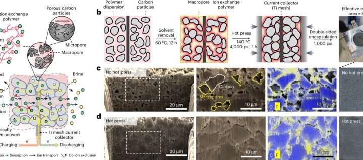 New research unlocks potential of electrochemical separation for water treatment and resource extraction