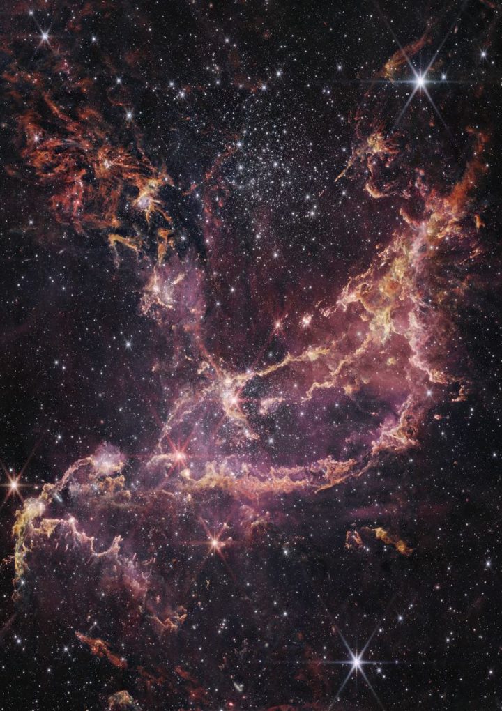 Webb Observes Protoplanetary Disks that Contradict Models of Planet Formation