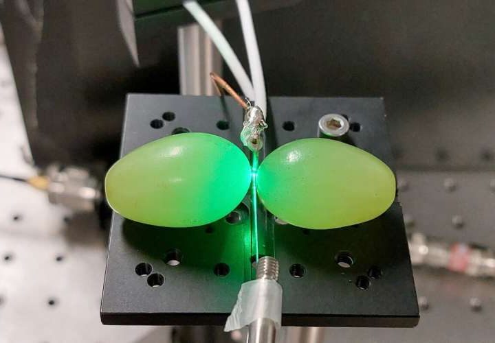 Grapes of math: Ordinary fruit enhances performance of quantum sensors