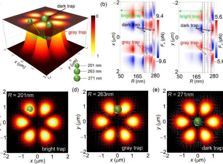 Researchers reveal full-gray optical trap in structured light