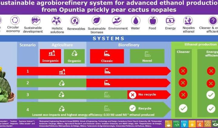 Researchers unlock potential of desert plants for cleaner efficient energy