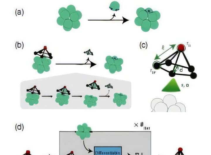 Scientists use machine learning to develop an opener for a molecular can