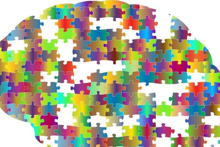 From brain maps to living bridges: The innovations set to reshape life in 2025