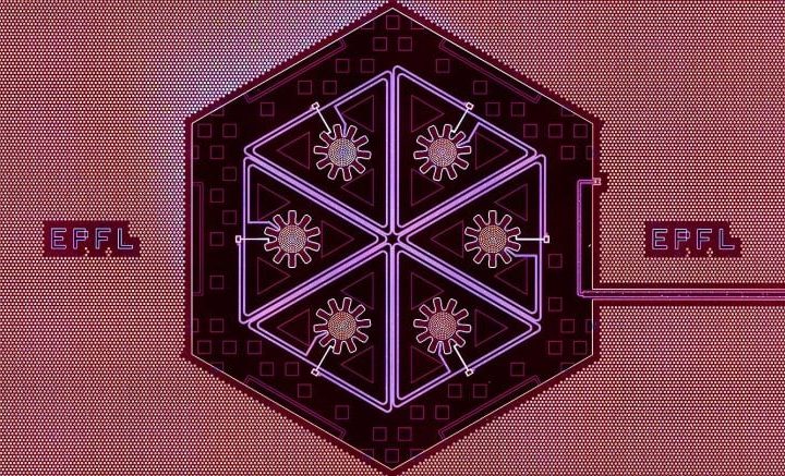 Revolutionizing Quantum Tech: Scientists Achieve Collective Motion in Macroscopic Oscillators