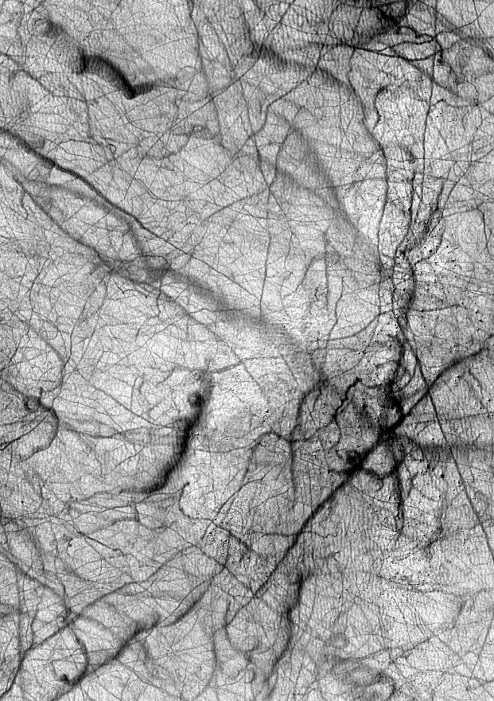 Crisscrossing Dust Devil Tracks Across the Surface of Mars