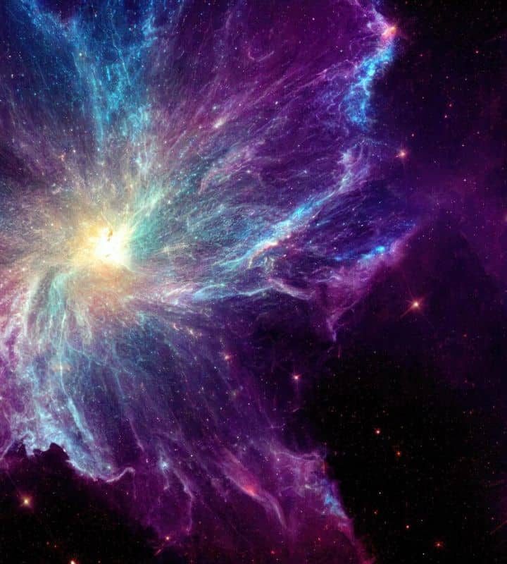 Schrödinger’s Cat Could Prove the Multiverse Exists