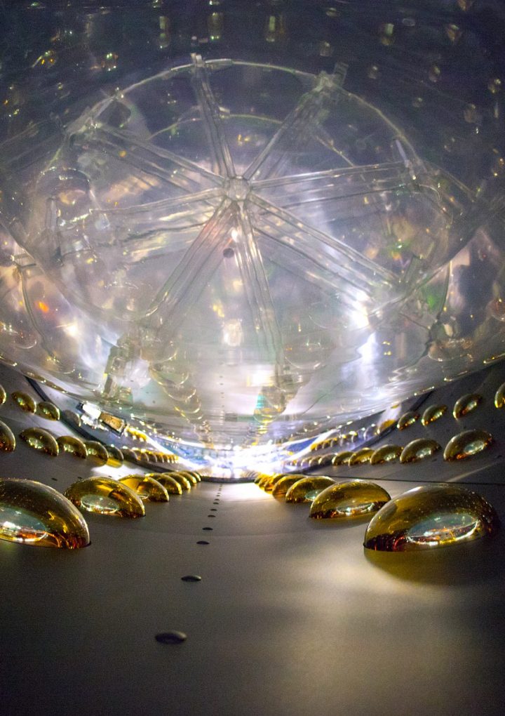 An Even Ghostlier Neutrino May Rule the Universe