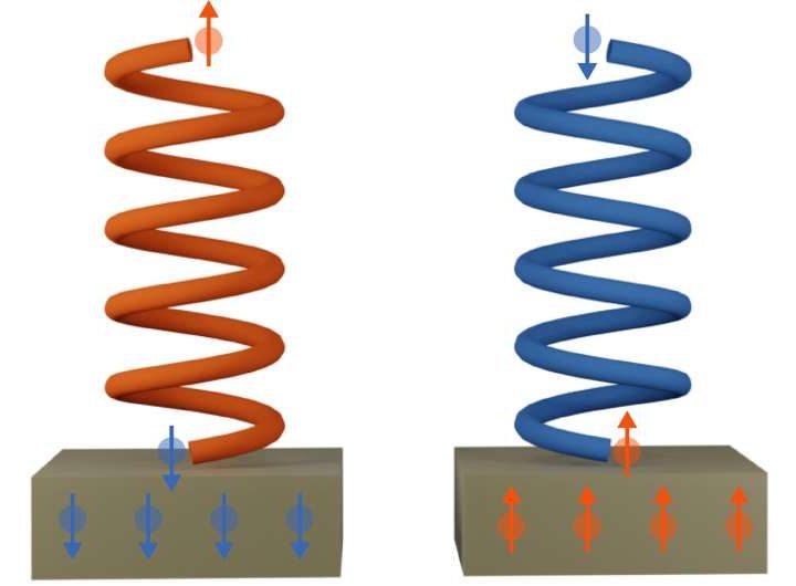 A spintronic view of chiral molecules: Physicists verify chiral-induced spin selectivity effect