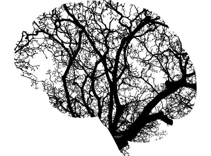 New training technique opens the door to neural networks that require much less energy