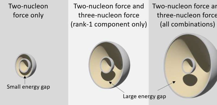 An overlooked nuclear force helps keep matter stable, study reveals