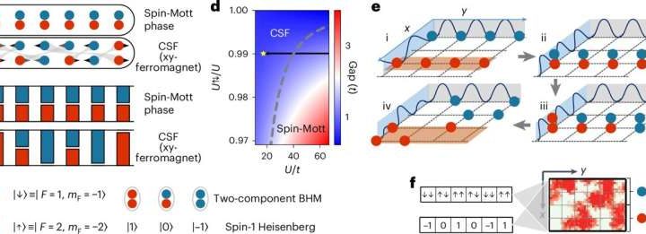 Chinese researchers discover novel quantum state of matter