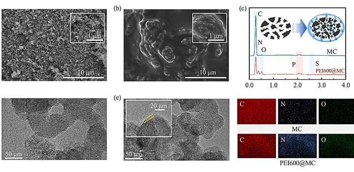 Researchers develop novel biochar material for CO₂ capture