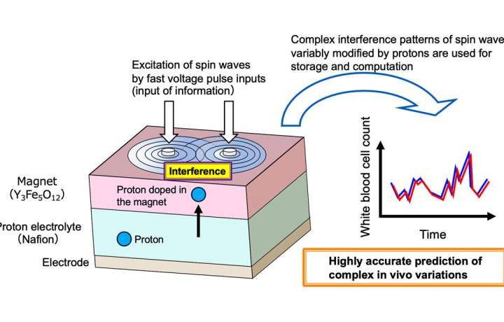 Next-gen AI device utilizes ion-controlled spin wave interference in magnetic materials