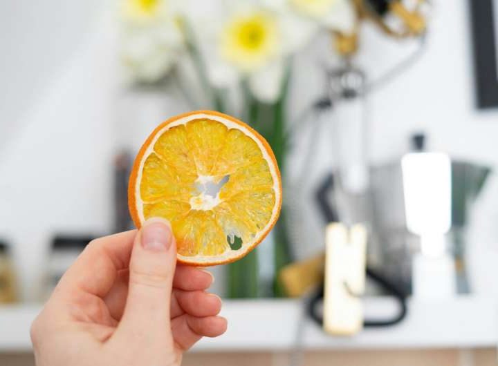 Smart food drying techniques with AI enhance product quality and efficiency