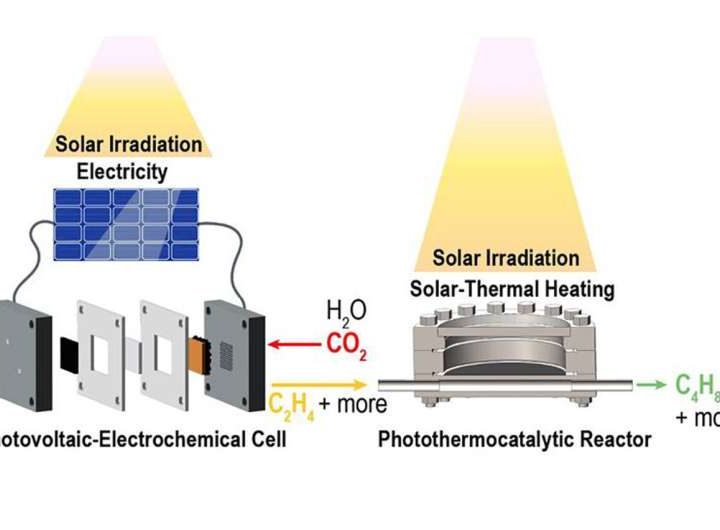 Driving chemical transformations through the power of solar energy