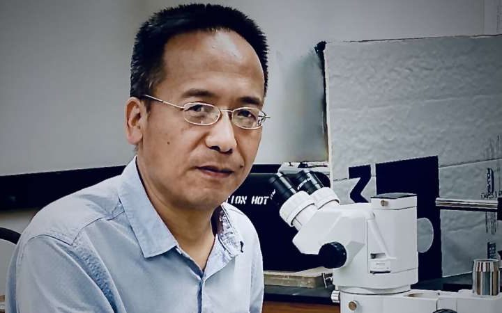 Nonlinear optical crystal for ultraviolet lasers remains remarkably stable under extreme pressure