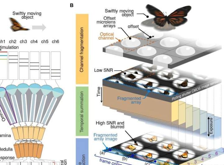 Insect-eye-inspired camera captures 9,120 frames per second