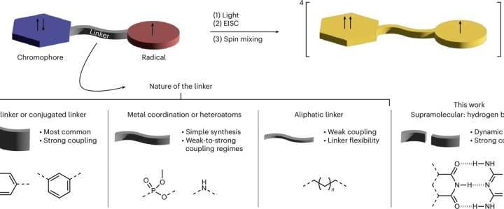 New avenues in quantum research: Supramolecular chemistry detects qubit candidates