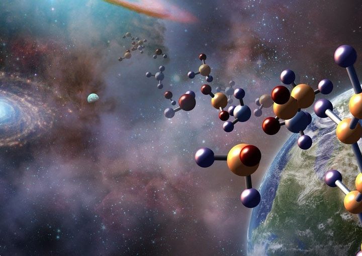 Is There a Fundamental Logic to Life?