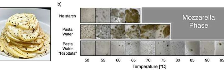 Physicists develop the ‘perfect’ recipe for a well-known Italian pasta dish