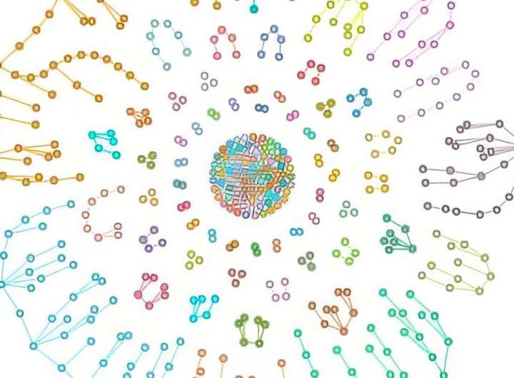 Physicists propose ‘bridge’ strategy to stabilize quantum networks