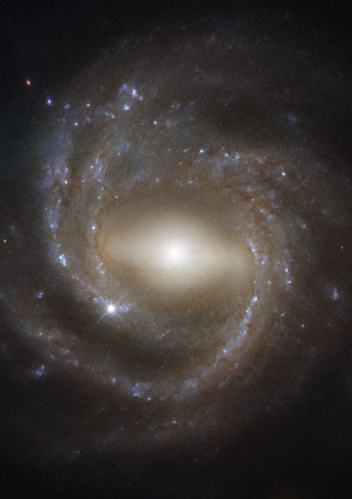 Galaxy Cores May be Giant Fuzzy Dark Stars