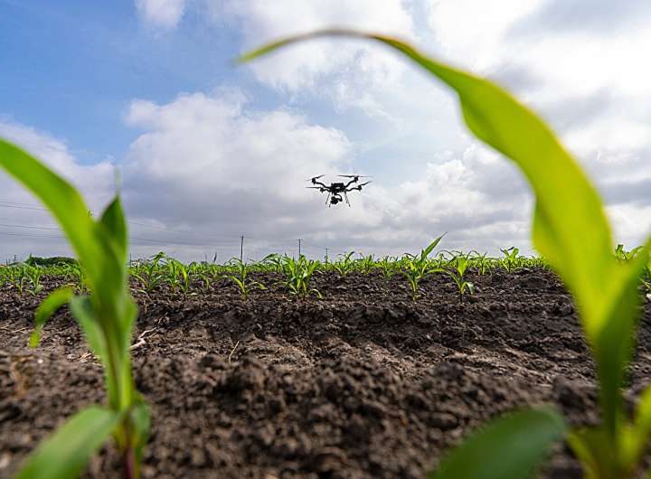 Farmers use remote sensing, big data, AI to simulate real-world crop production scenarios
