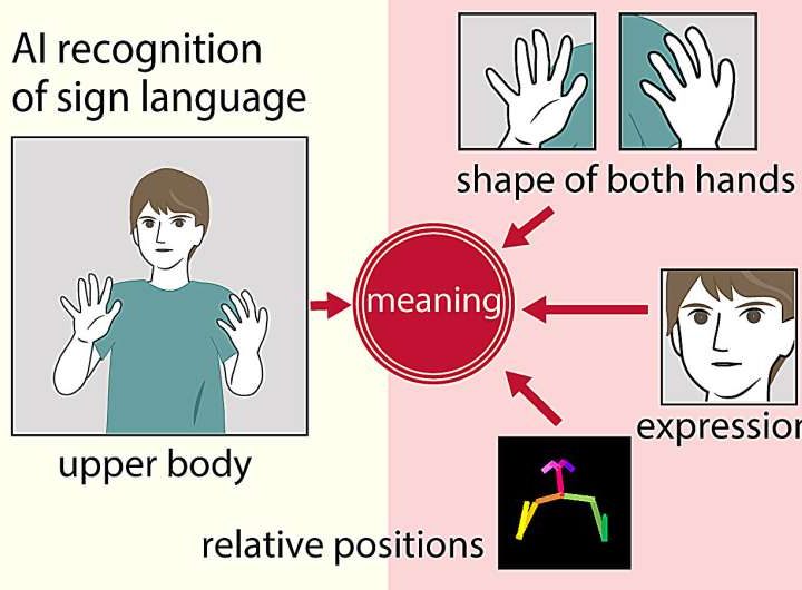 Reading signs: New method improves AI translation of sign language
